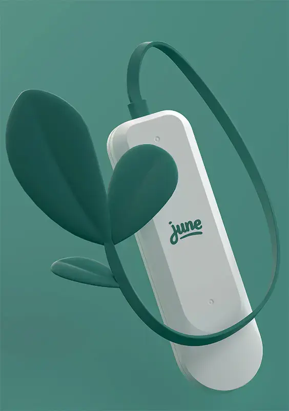 june dongle - green